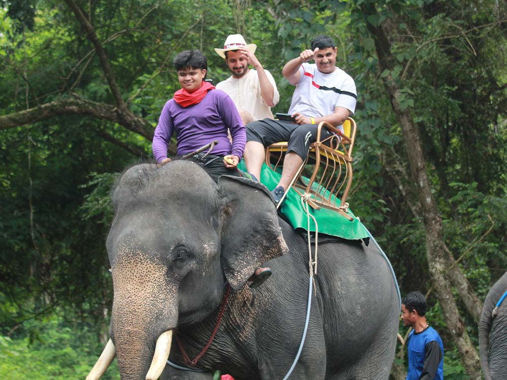 Elephant Trekking Phang Nga